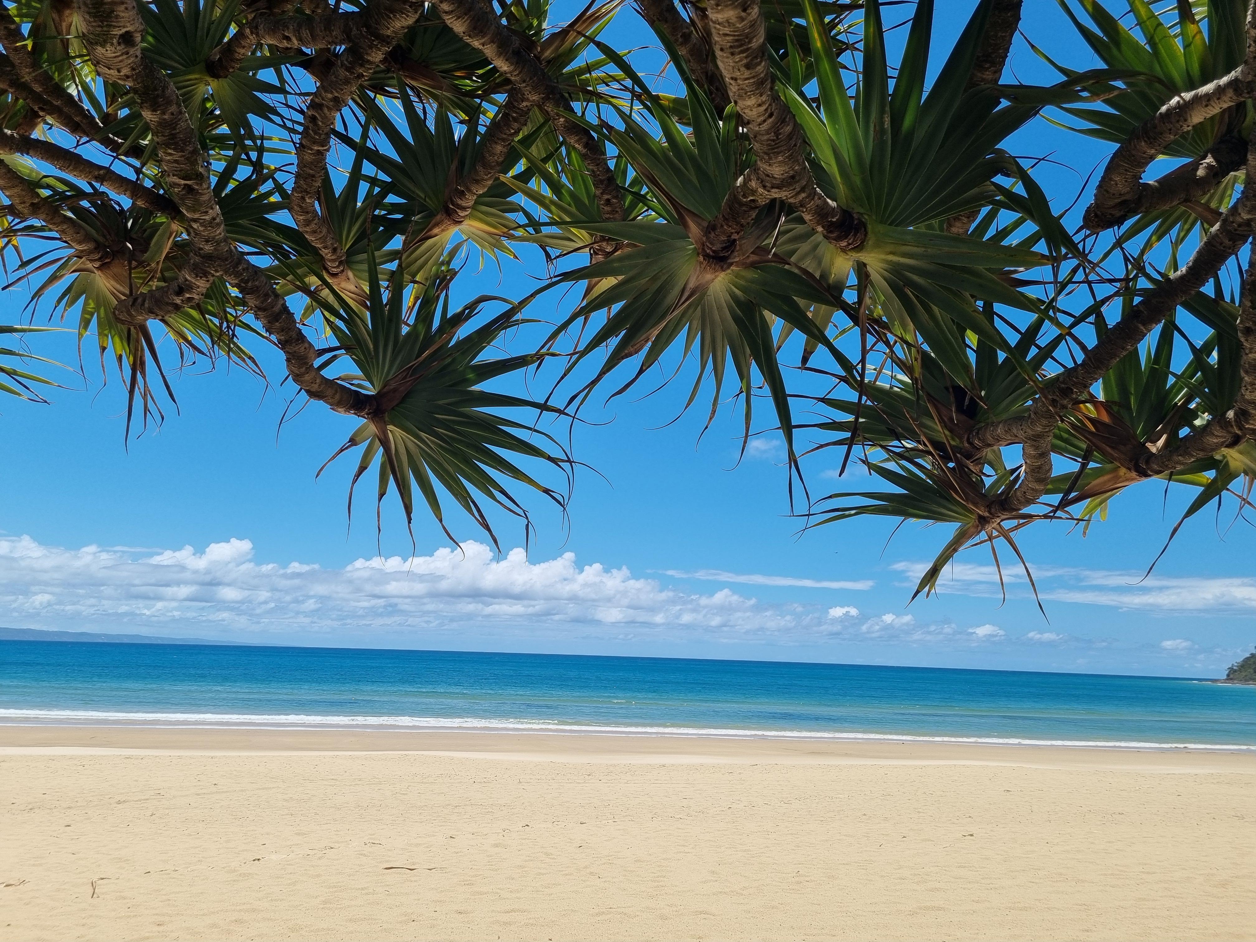Noosa River Retreat Holiday Apartments Noosaville Ngoại thất bức ảnh